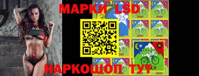 тгк Гай