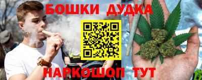 тгк Гай