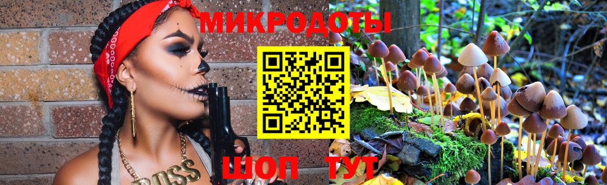 Псилоцибиновые грибы Psilocybe Кольчугино