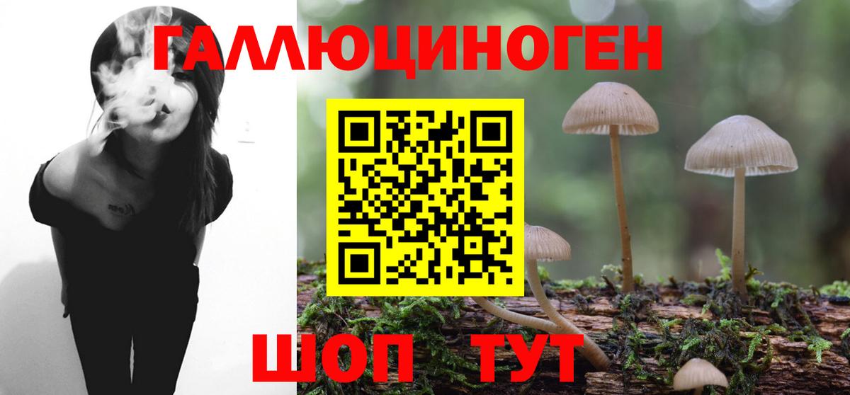 Галлюциногенные грибы Psilocybe  Вход с VPN  Галлюциногенные грибы Psilocybe  Кольчугино 