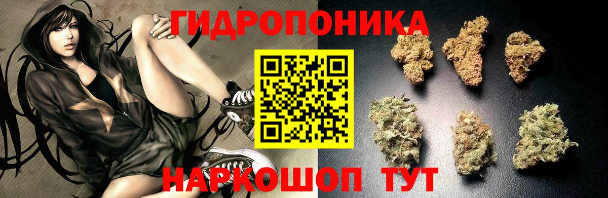 Кольчугино  МАРИХУАНА план  Вход с VPN  Бошки Шишки гибрид  Каннабис LSD WEED  Бошки марихуана LSD WEED 